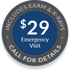 $19 Emergency Visit